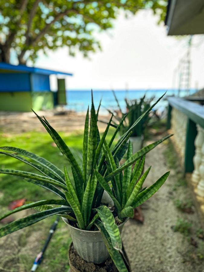 1Peace Beach Resort Anda  Kültér fotó